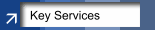 Key Services